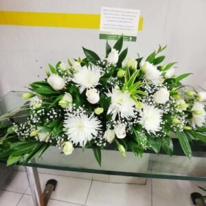 Ovalado Blanco Sencillo