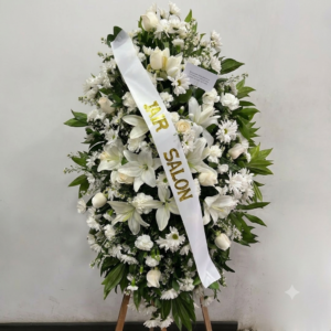 Blanco Elegante con Banda