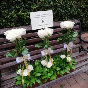 Jardín de Rosas Blancas