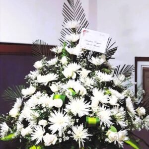 Pirámide Blanca Clásica
